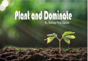 Plant and Dominate (Part 1) By Bishop Feyi Daniel